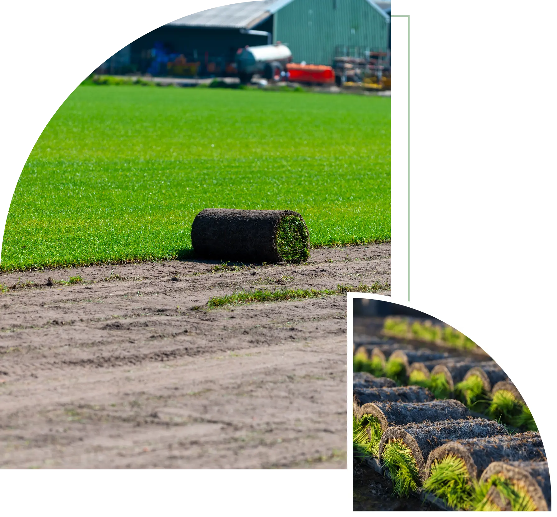 Group 2 (2) Rolled sod on field and farm background.