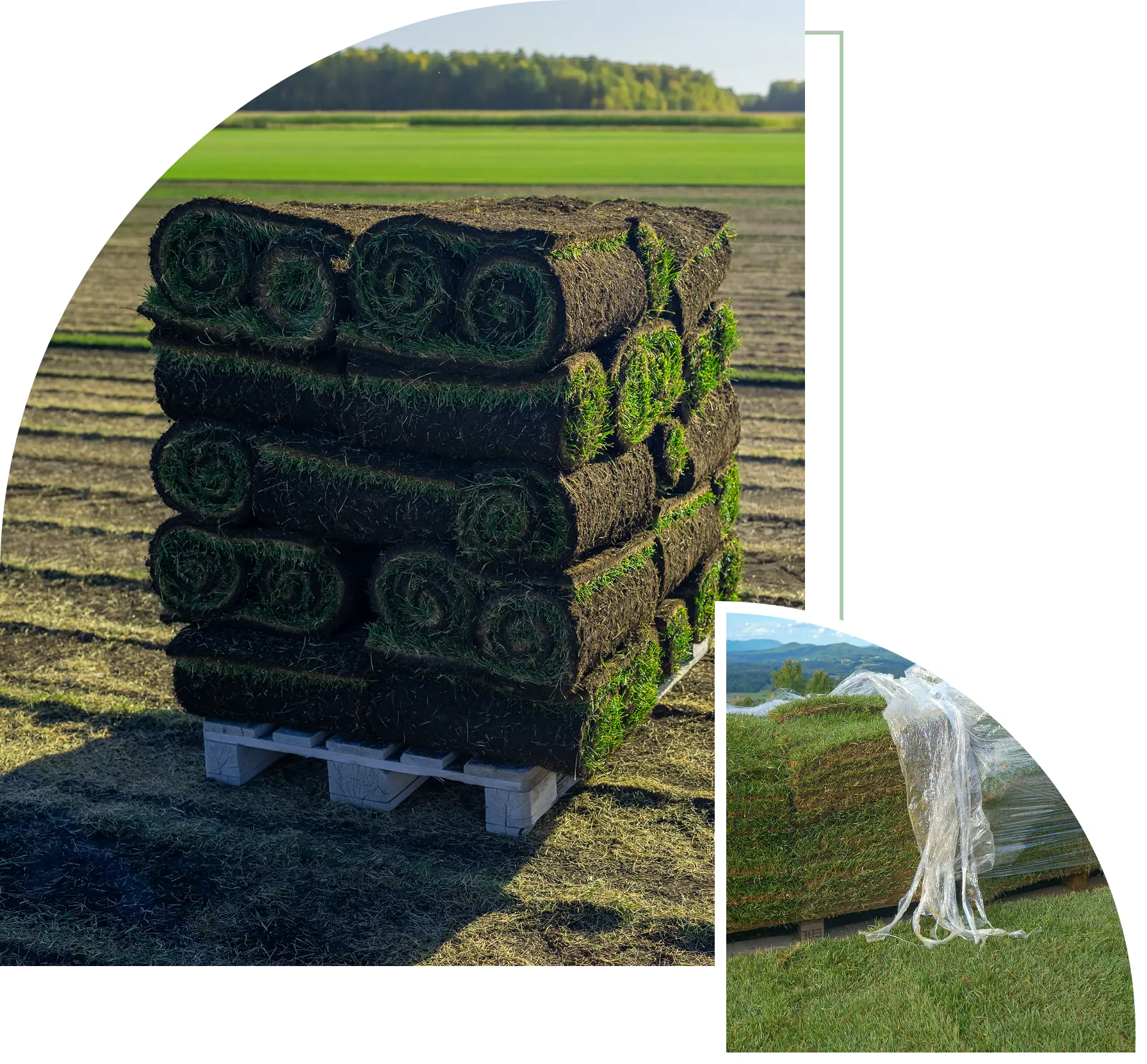 Group 2 (3) Stacked grass rolls on wooden pallet outdoors.