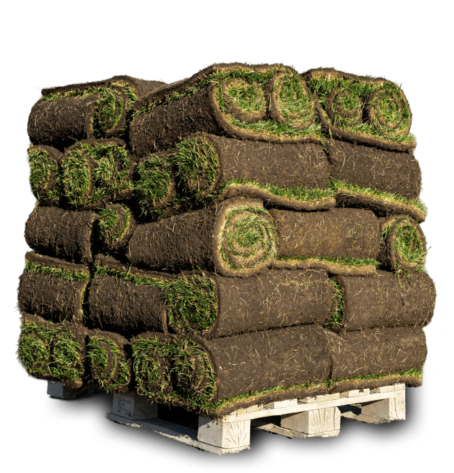 Group 8 Stacked rolls of sod on wooden pallet.