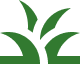 Vector Green plant leaves on black background.