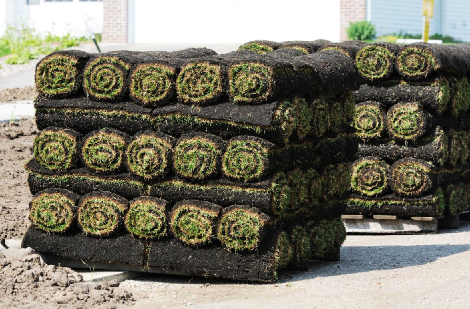 Stacks of rolled grass sod on pallets.