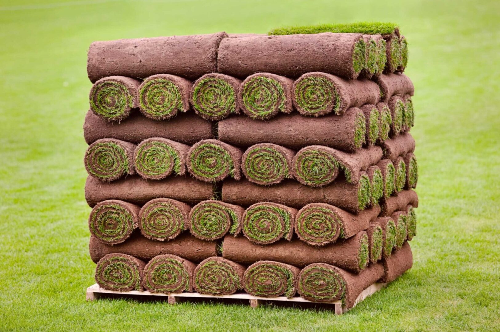 Stacked rolls of turf on wooden pallet.