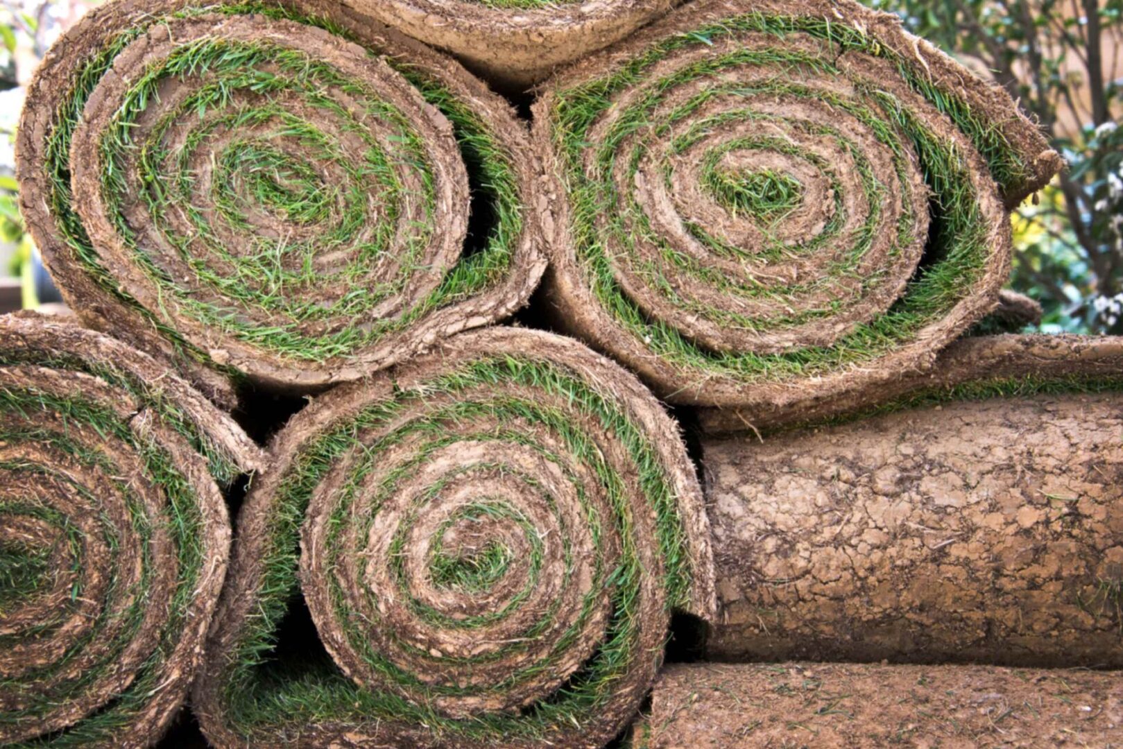Rolled grass turf stacked in a pile.